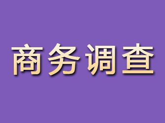 合江商务调查